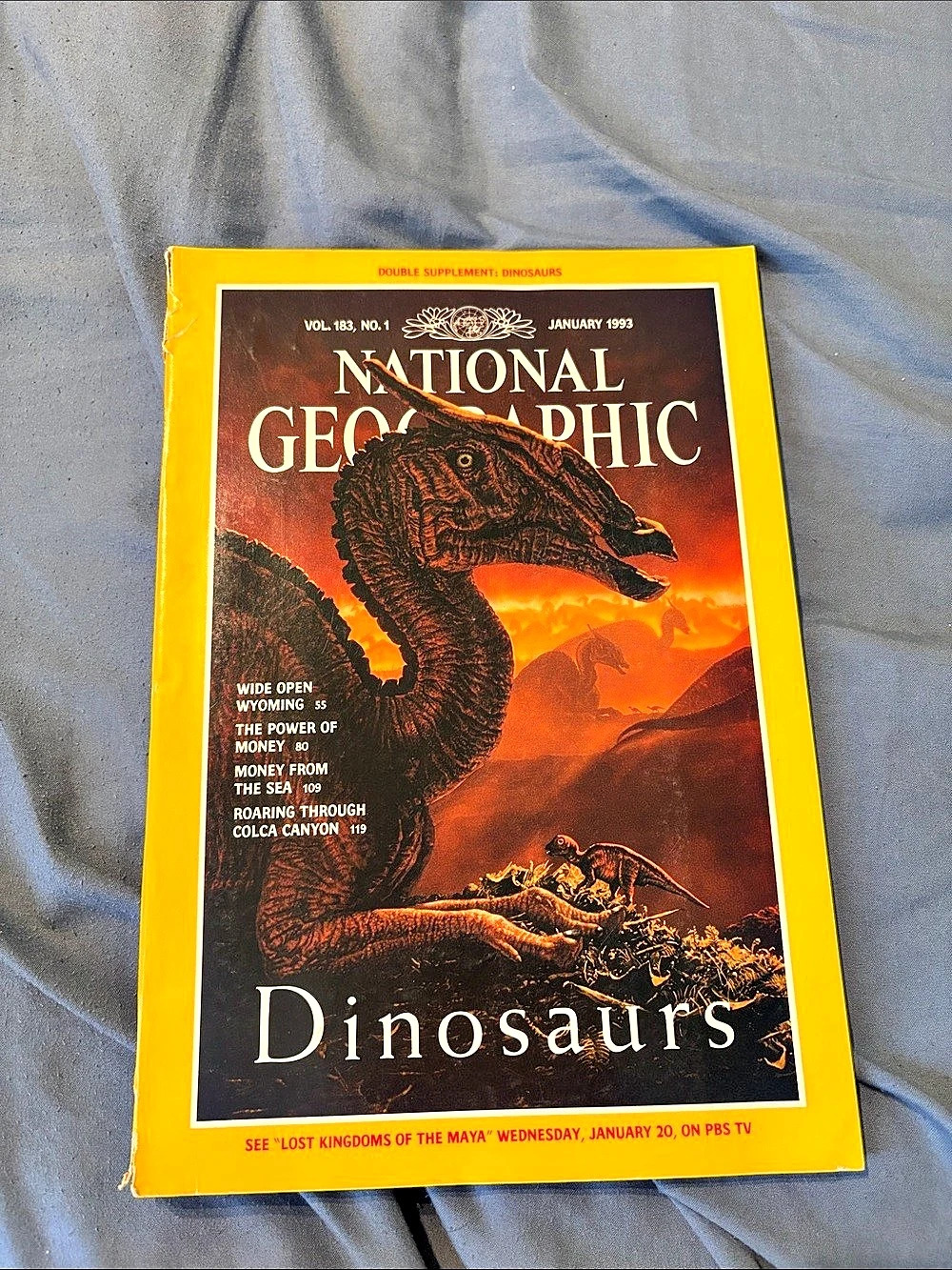 National Geographic Magazine January 1993: Dinosaurs January 1993 Print Magazine